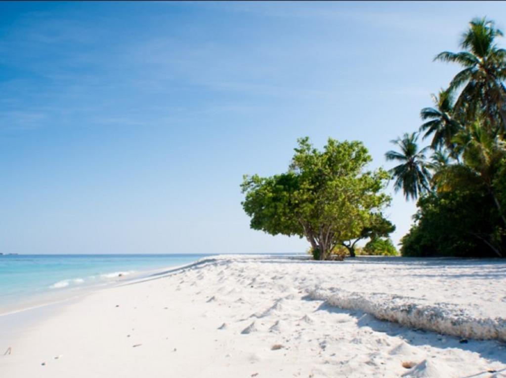 Kuri Inn Omadhoo Exterior photo